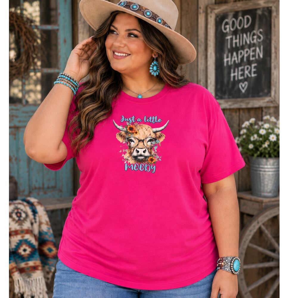 Fruit of the Loom Custom Highland Cow Moody T-Shirt Unisex 3XL Pink NWOT